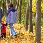 Ozark Gateway Family Vacations