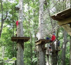 Staying on Track at Loco Ropes