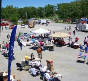 dogwood_above_650x600