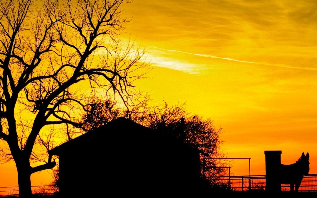 18th Annual Meeting of the Old Independence Regional Museum Membership Thursday, Sept. 15th