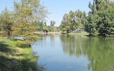 Spring Break Activities at Jacksonport State Park