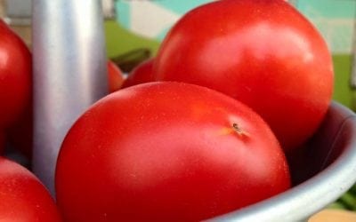 Batesville’s Main St. Farmers Market Open August 6th 8 am – Noon