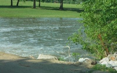 2nd Annual Community-Wide Swap Meet  (Big Flea Market!) April 22 at the A.L. Hutson Center in Highland