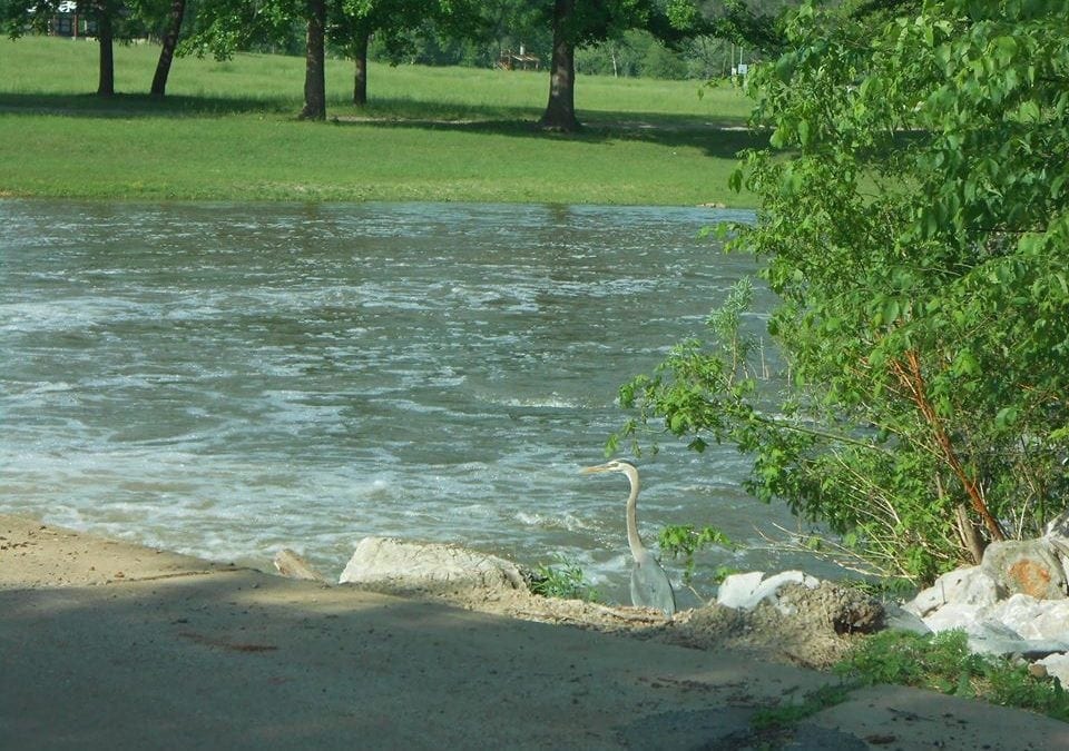 2nd Annual Community-Wide Swap Meet  (Big Flea Market!) April 22 at the A.L. Hutson Center in Highland
