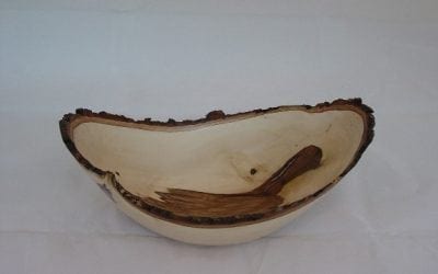 Arkansas Craft School Announces “Wood turning from Another Perspective”