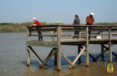 Upcoming Events for Lake Frierson State Park