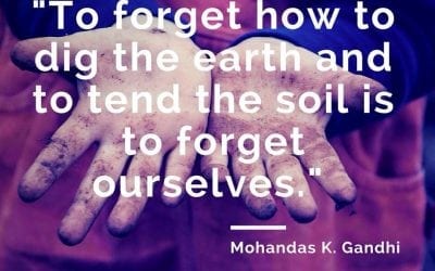 Ninth Annual Seed Swap at the Ozark Folk Center State Park March 4th