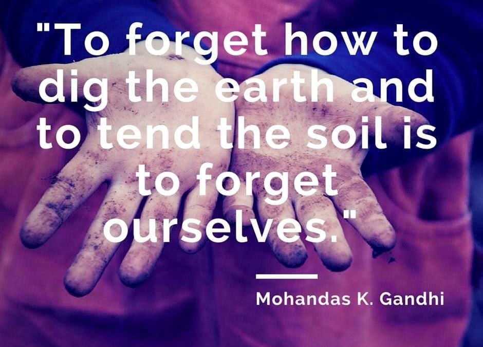 Ninth Annual Seed Swap at the Ozark Folk Center State Park March 4th