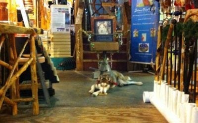 Everyone Come Visit Ozark Classic Crafts Mall Downtown Hardy! Coming Soon – a Record-O-Mat!