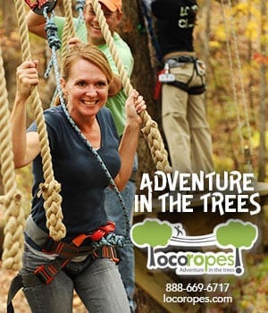 Loco Ropes at Ozark Folk Center State Park is an Exhilarating Adventurous Experience for a Great Fun Challenge!