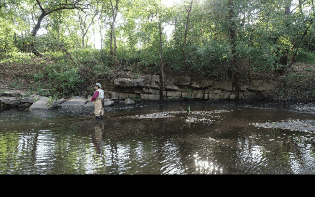 Tis the season for getting out