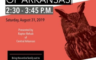 Live Raptors of Arkansas” Coming to Jacksonport State Park on Labor Day Weekend!
