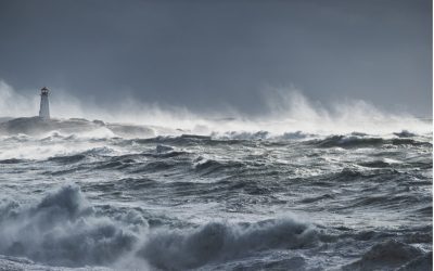 WEEK THREE Community Matters Why Nonprofit Organizations Are Important in Our Communities