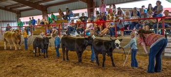The Fulton County Fair Spring Junior Livestock Show is scheduled for Saturday, May 18th
