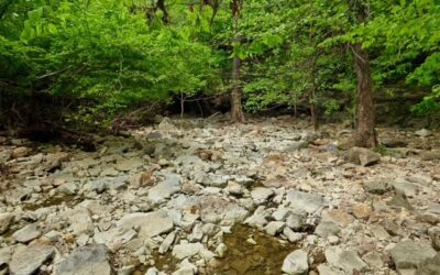 Step Into a Hidden Natural Wonder: Hall’s Creek Canyon