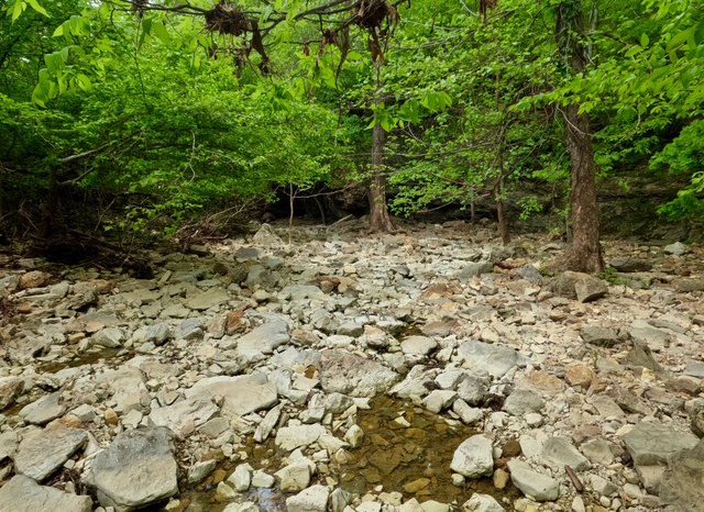 Step Into a Hidden Natural Wonder: Hall’s Creek Canyon