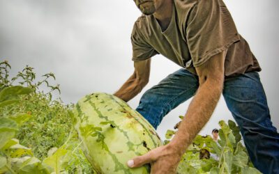 There’s nothing as sweet as the Cave City Watermelon Festival