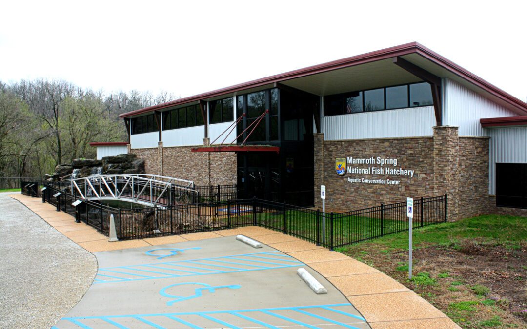 From Chance Encounter to Lasting Legacy: The Story of Mammoth Spring National Fish Hatchery