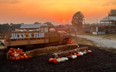🎃 Fall Fun Returns to Jackson Farm!