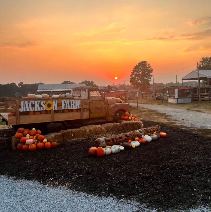 🎃 Fall Fun Returns to Jackson Farm!